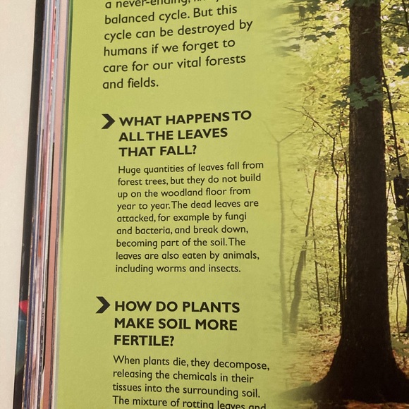 Questions & Answers Hardcover Book - Picture 3 of 4